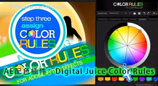 Digital Juice Color Rules